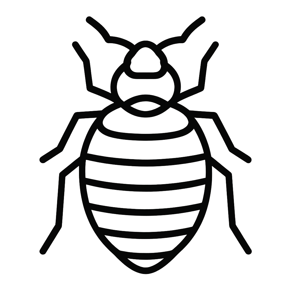 Bed Bug